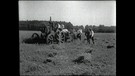 Historisches Bild von Ackerbauern auf dem Feld mit Traktor  | Bild: BR