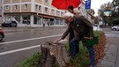 Ein Mann und eine Frau inspizieren Baumstumpf in Augsburg | Bild: BR