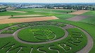 Maisfeld in Form des Logos von "Erdinger Weissbräu"  | Bild: BR