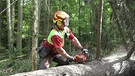 Waldarbeiter mit Motorsäge | Bild: BR