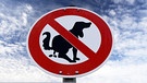 Unschöne Hinterlassenschaften: Mit DNA-Tests gegen Hunde-Tretminen | Bild: picture alliance / CHROMORANGE | Christian Ohde