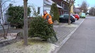 Mann mit Warnweste holt alten Weihnachtsbaum vor Wohnhaus ab | Bild: BR