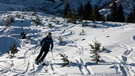 Skifahrer fährt abseits einer Piste durch Jungwald | Bild: BR