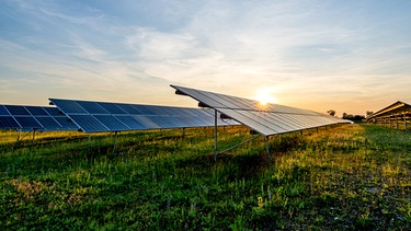 ACHTUNG! Generisches Symbolbild nur für BR24TV Rundschau für Anchor A1K2-PAN16-L-XL, von AdobeStock-362408969.
Solarpanels auf einer grünen Wiese. | Bild: BR24TV/stock.adobe.com/Björn Wylezich