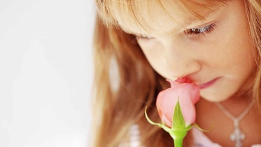 Mädchen riecht an Rose | Bild: colourbox.com