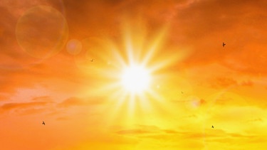 Direkter Blick in die Sonne. Das Bild ist stark orange als Symbol für die Hitzewellen. Es sind vereinzelt fliegende Vögel zu sehen. | Bild: stock.adobe.com/Lemonsoup14