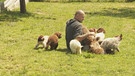 Ein Mann mit Hunden auf einer Wiese | Bild: BR