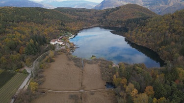 Lebensraum Feuchtgebiet
| Bild: RAI Südtirol 