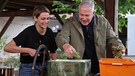 Alexander Herrmann verkostet Verjus von Lena Bernard in Sulzfeld. | Bild: BR / Frank Johne