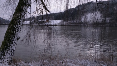 Winterliche Donaulandschaft | Bild: BR