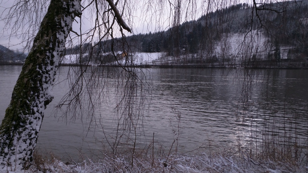 Winterliche Donaulandschaft | Bild: BR