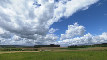 Oberpfälzer Landschaft unter blauem Himmel | Bild: BR