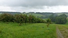 Bilder aus dem Film: Rund um die Gatterberge | Bild: BR