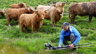 Heinz Zak fotografiert ein Hochland-Rind im Karwendel | Bild: BR/Michael Düchs