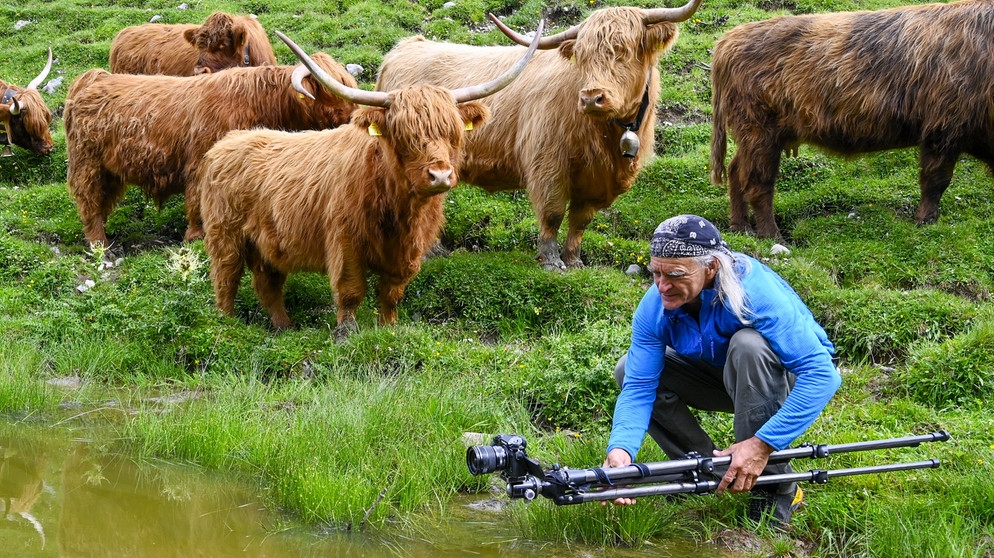 Heinz Zak fotografiert ein Hochland-Rind im Karwendel | Bild: BR/Michael Düchs