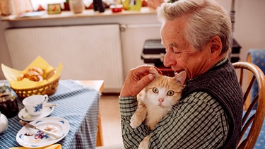 Dahoam is Dahoam: Gerstl (Gerd Lohmeyer) setzt alles daran, seine Katzen trotz seiner Katzenhaarallergie zu behalten. | Bild: BR/Nadya Jakobs