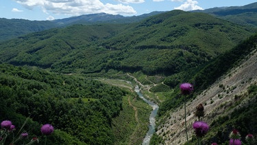 Der Wildfluss Neretva | Bild: BR/Nils Fricke