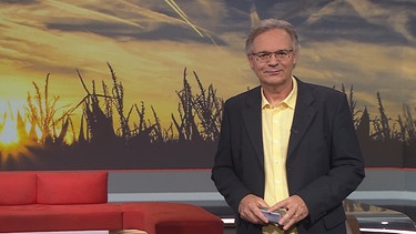 Moderator Charly Hilpert moderiert die Frankenschau aktuell vom 6. September | Bild: BR