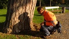 Ein Mann untersucht einen Baum. | Bild: BR