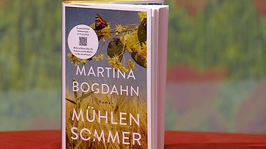Das Buch "Mühlensommer" von Martina Bogdahn. | Bild: BR