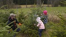 Eine Familie, welche ihren Weihnachtsbaum selbst gefällt hat. | Bild: BR