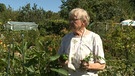 Gerda Schobel in ihrem Schrebergarten. | Bild: BR