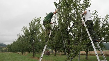 Ernstehelfer bei der Arbeit. | Bild: BR