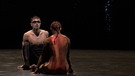 Szene aus dem Ballettstück "Feuervogel". | Bild: BR