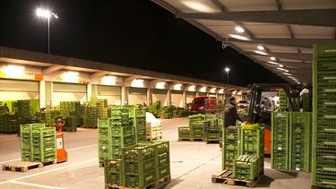 Emsig am frühsten Morgen sind die Händler am Nürnberger Großmarkt, hier wird ganz Nordbayern mit Lebensmitteln versorgt. | Bild: BR