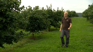 Landwirt auf seinem Haselnussfeld. | Bild: BR