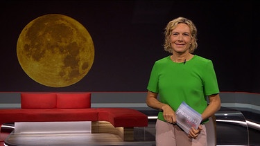 Julia Büchler moderiert die Frankenschau aktuell. | Bild: BR