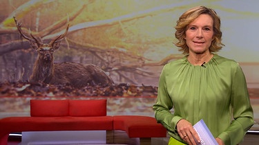 Moderatorin Julia Büchler in der Frankenschau aktuell vom 9. Dezember 2024 | Bild: BR