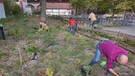 Arbeiten am Nürnberger Klimawald. | Bild: BR