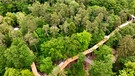 Der Klimawaldpfad im Nürnberger Tiergarten von oben. | Bild: BR