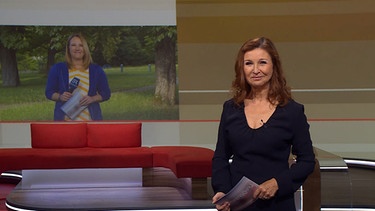 Karin Schubert verabschiedet sich von den Zuschauern der Frankenschau aktuell und übergibt an Ulla Küffner mit dem Wetter. | Bild: BR
