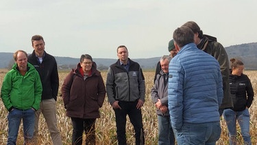 Landwirte beim Bodenbearbeitungsseminar in Meinheim. | Bild: BR