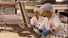 Lebkuchenproduktion ín Nürnberg. | Bild: BR