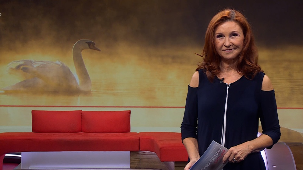 Karin Schubert moderiert. | Bild: BR