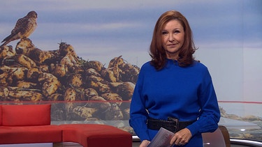 Moderatorin Karin Schubert in der Frankenschau aktuell vom 4. Dezember | Bild: BR