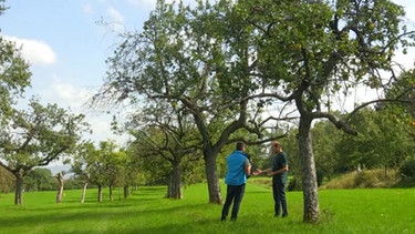 Eine Streuobstwiese mit Besitzer und Streuobstmanager Andreas Hofmann im Bild (links). | Bild: BR