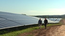 In der Gemeinde Bundorf versorgen bald 230.000 Solarmodule 40.000 Haushalte mit Energie.  | Bild: BR