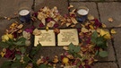 Zwei der eneun Stolpersteine in Oberfranken, sie erinnern an das Ehepaar Berg. | Bild: BR