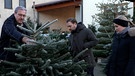 Ein Tannenbaum wird betrachtet. | Bild: BR