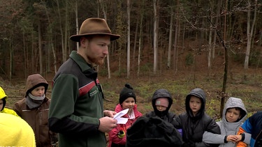 Ein Förster erklärt Grundschulkindern den Wald. | Bild: BR