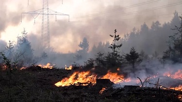 Der Waldbrand bei Schwarzach an der Saale.  | Bild: BR