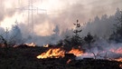 Der Waldbrand bei Schwarzach an der Saale.  | Bild: BR