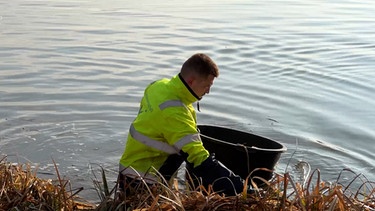 Mann kümmert sich um den Altmühlsee. | Bild: BR