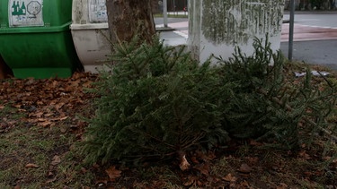 Weihnachtsbaum vor Müllcontainern. | Bild: BR