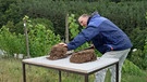 Ein mann mit Erdproben vor Weinstöcken. | Bild: BR