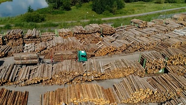 Arbeitsfläche des Holzverarbeitungsunternehmens Ziegler-Group. | Bild: BR-Studio Franken